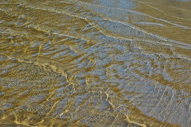 kumlu bir plaj dalgalar.