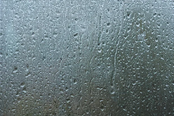 Regentropfen auf dem Moskitonetz. — Stockfoto