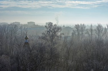 Frost ile kaplı ağaçlar şehir.