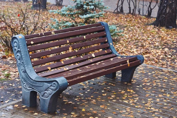 Banco húmedo en el parque de otoño  . — Foto de Stock