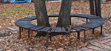Sonbahar Park ıslak tezgah.