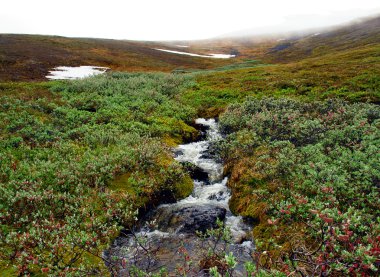  Creek meltwater.