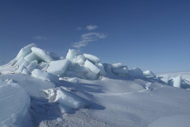 arctic deniz buz üstünde.