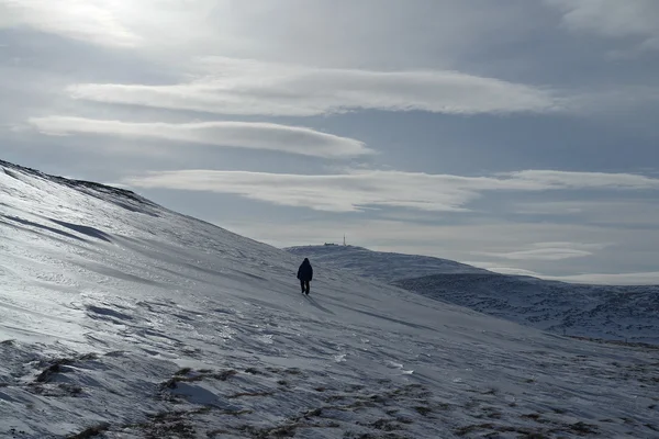 Argento presente sulle pendici delle colline di Chukotka . — Foto Stock