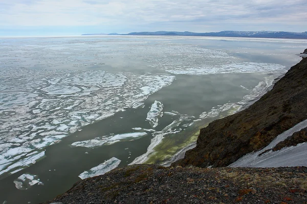 Gelo do Oceano Ártico ao largo da costa de Chukotka . — Fotografia de Stock