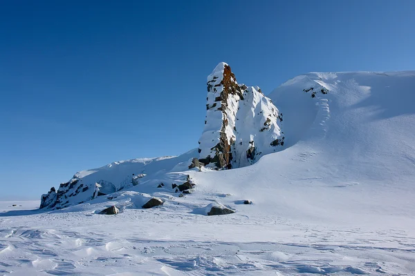 Chukotka de l'Arktique. Falaises saillantes de la neige . — Photo