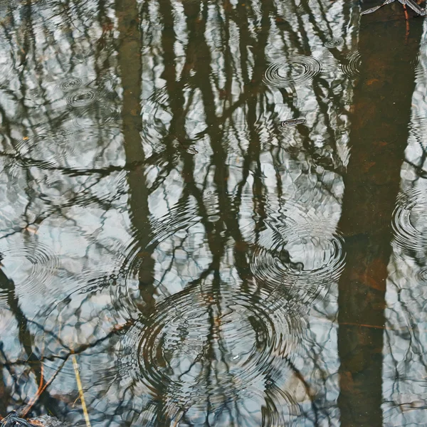 Reflectie in lake tijdens regen. — Stockfoto