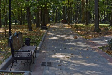 parkta gölgeli yolları.