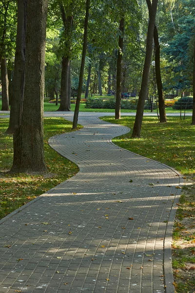 Caminho sinuoso no parque de outono . — Fotografia de Stock