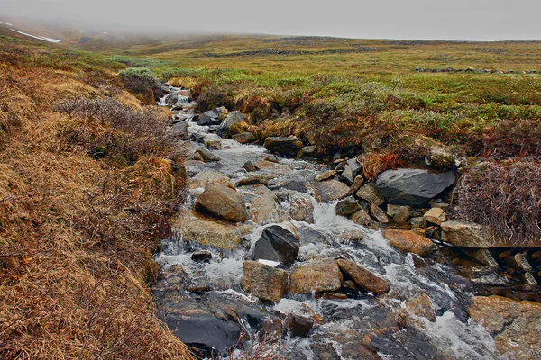 Spring in the   tundra. Creek meltwater. — Stock Photo, Image