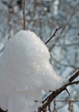 Kış ormanda büyük kar taneleri Snowdrifts.