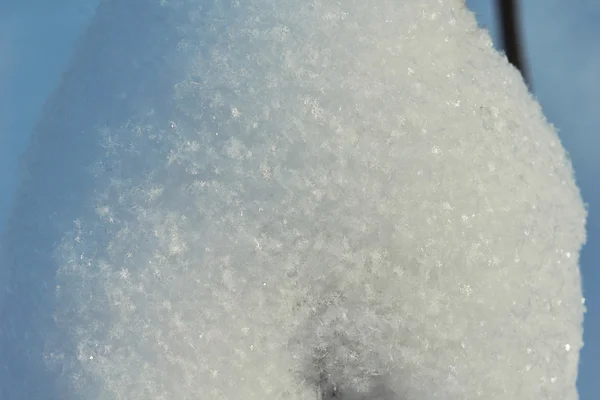 Snödrivor stora snöflingor i vinter skogen. — Stockfoto