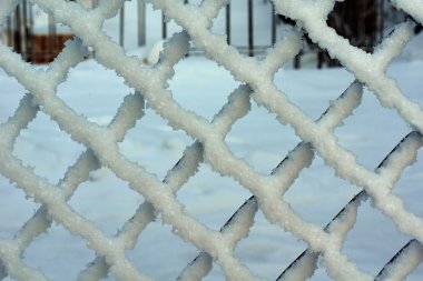 Frost ile örtülü çit.