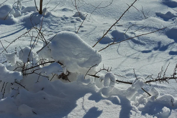Снежные заносы больших снежинок . — стоковое фото