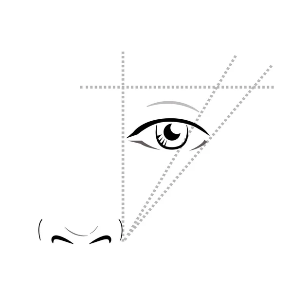 눈 썹을 그릴 하는 방법. 벡터 유행 메이크업 눈 썹 구성표. — 스톡 벡터