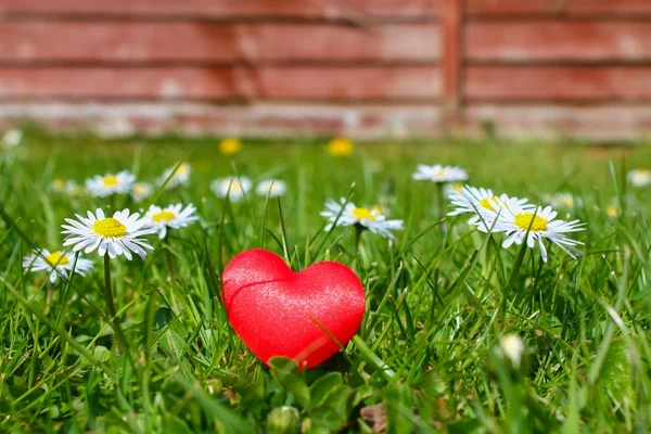 Um coração de amor no jardim — Fotografia de Stock