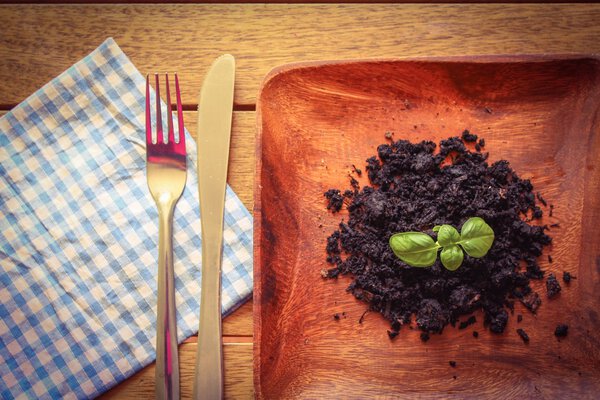 from garden to plate