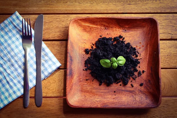 From garden to plate — Stock Photo, Image