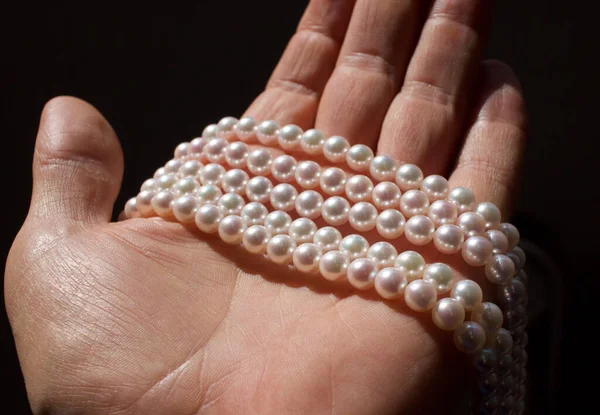 Nombreux brins de perles d'Akoya japonaises de culture. Image En Vente