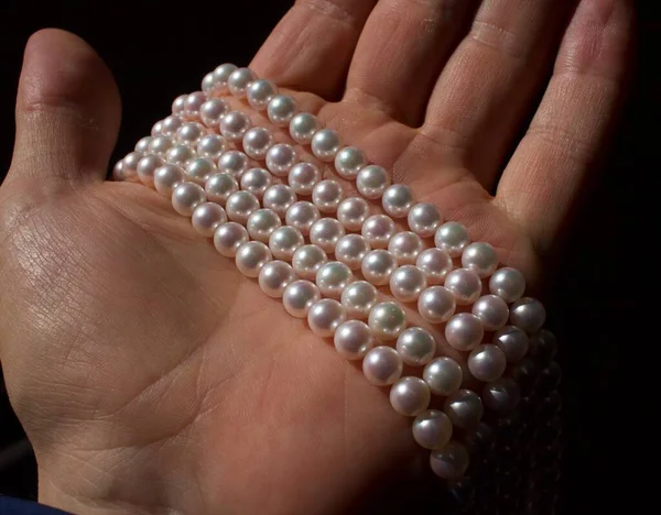 Nombreux brins de perles d'Akoya japonaises de culture. Images De Stock Libres De Droits