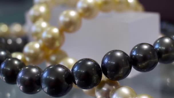 Panning close-up van zwart en goud gekweekt zuid zee parels. — Stockvideo