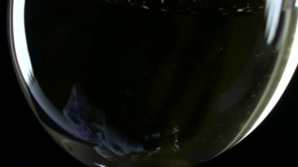 Vinho branco sendo derramado em um copo de vinho, preto, câmera lenta, close-up — Vídeo de Stock