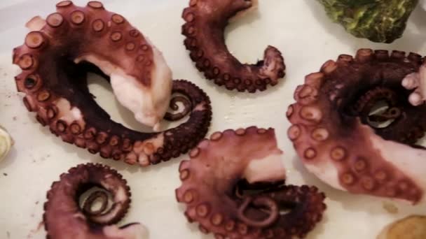 Octopus, mussel and shrimp, white, cam moves to the right, closeup — Stock Video