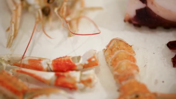 Peças de lagosta frescas, cam move-se para a direita, close-up — Vídeo de Stock