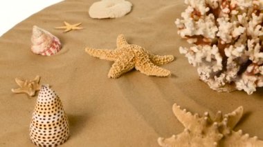 Deniz yıldızı ve kabukları üzerinde kum, beyaz, döndürme