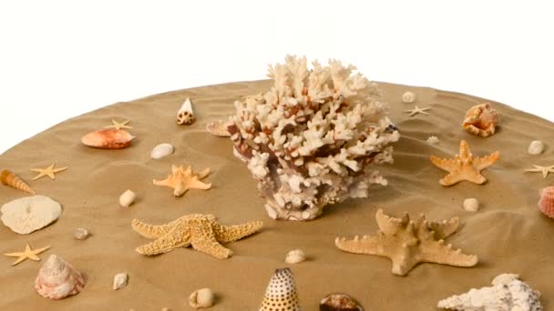 Estrella de mar, coral y conchas en la arena contra, blanco, rotación — Vídeos de Stock