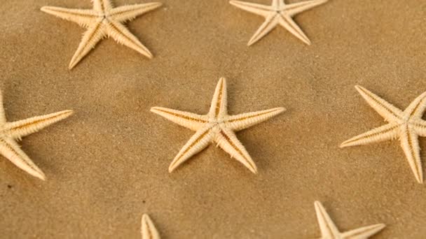 Big set of sea stars on sand, rotation — Stock Video