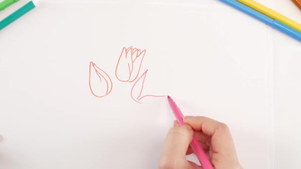 Mujer dibujando las flores usando diferentes rotuladores sobre papel blanco — Vídeo de stock