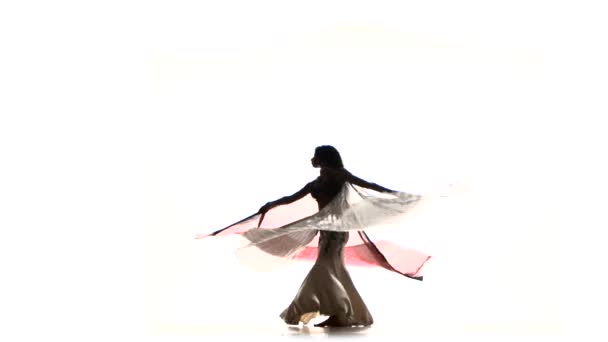 Beautiful slim exotic belly dancer with two wings whirling, shaking her hips, on white, silhouette, shadow — Stock Video