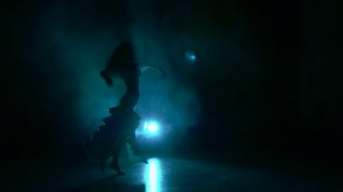 Güzel egzotik dansöz kadın, onun kalçalarına, siyah, ağır çekim, siluet, duman sallayarak