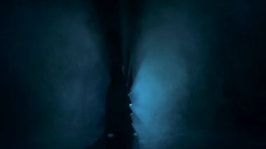 Egzotik dansöz kız siluet karanlık, gölge, duman, dans devam