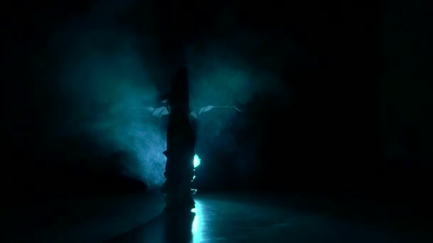 Экзотическая танцовщица живота, трясущая бедрами, на черном, замедленном движении, силуэт, дым — стоковое видео