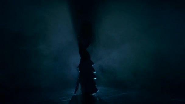 Mulher dançarina barriga exótica ir em dança no escuro, sombra, fumaça, silhueta — Vídeo de Stock