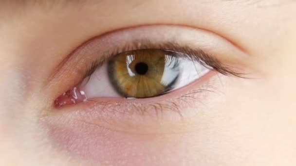 Olhos humanos a observar, de perto, câmara lenta — Vídeo de Stock