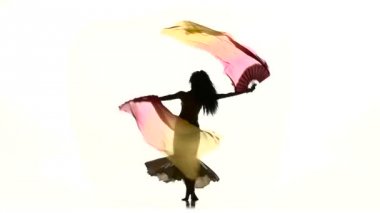 Young exotic belly dancer girl with two fans, on white, silhouette, shadow, slow motion