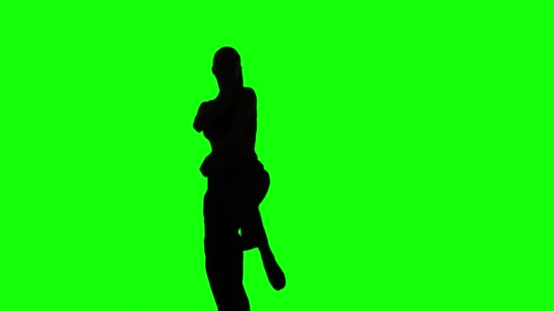 Donna di karate che pratica mosse di karate. Verde. Silhouette — Video Stock