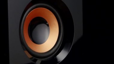 Speaker pumping. Closeup