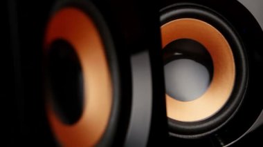 Speaker cone pumping to the sound of the bass. Closeup