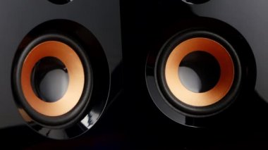 Moving sub-woofer. Speaker cone pumping. Closeup