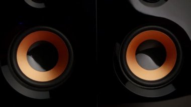 Speaker pumping. Speaker system. Sub woofer. Closeup