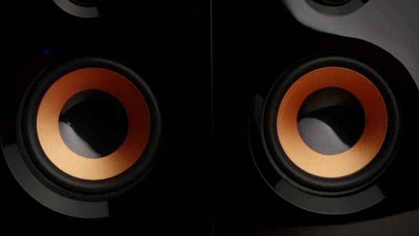 Speaker pumping. Speaker system. Sub woofer. Closeup — Stockvideo