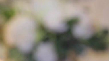 Grup beyaz çiçekler ve tablo üzerinde yanan mumlar düğün