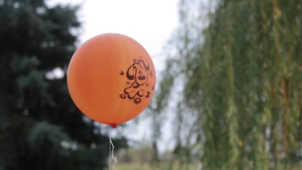 Oranje ballon met afbeelding van hond buiten — Stockvideo