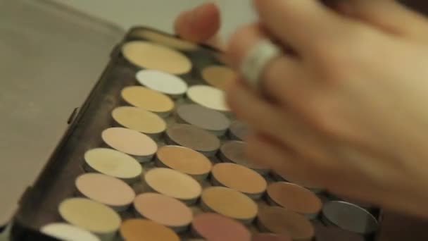 Makeupartist använder en borste och palett ögonskugga — Stockvideo