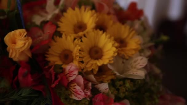 Boquet bloemen zonnebloem in het donker — Stockvideo