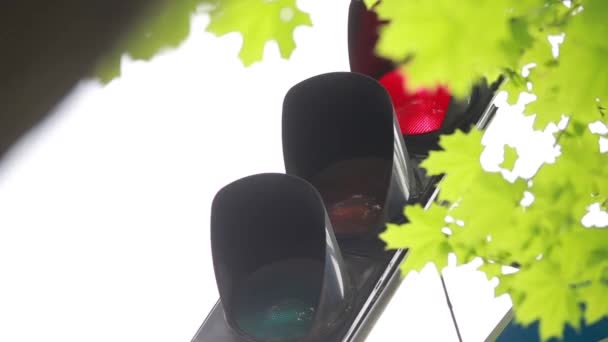 Rode en groene verkeerslichten tegen blauwe hemel en boom — Stockvideo